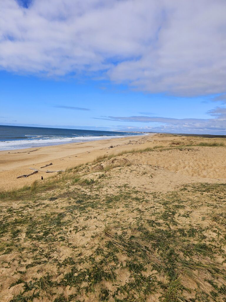 Plage sauvage