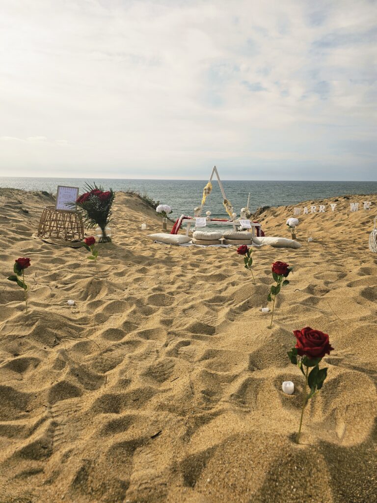 Picnic chic et boheme de demande en mariage, plage coucher de soleil face à l'océan